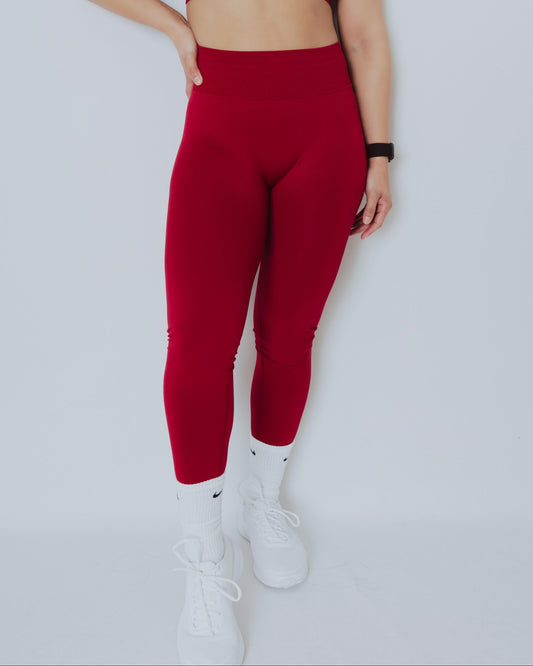 Momentum Leggings - RENOVA